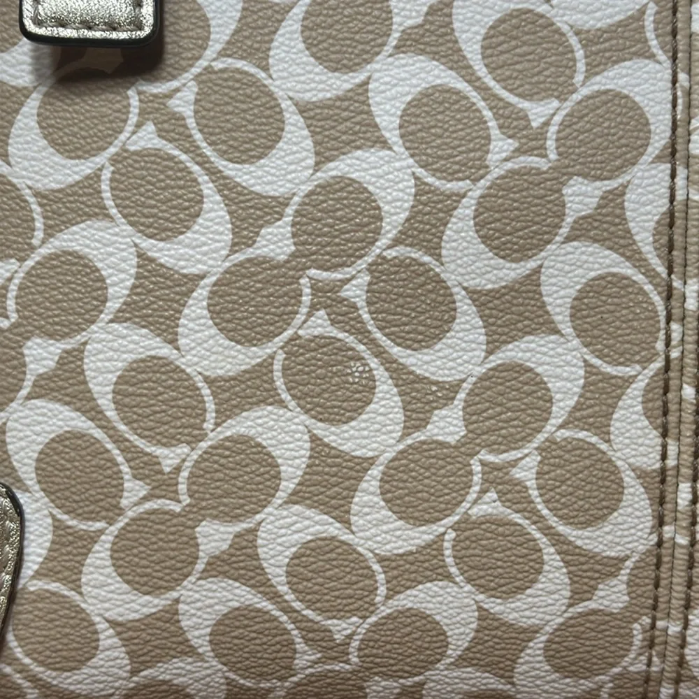 COACH Chelsea Heritage Stripe Hobo/Shoulder Bag - Picture 6 of 17